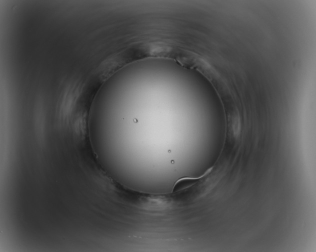 X0000089830475200706281215