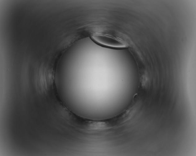 X0000089830476200706281215