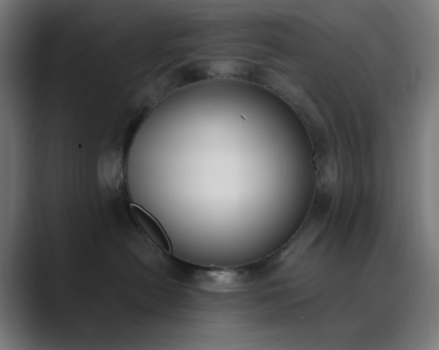 X0000089830478200706281215