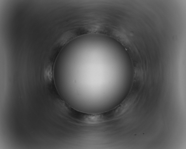 X0000089830479200706281215