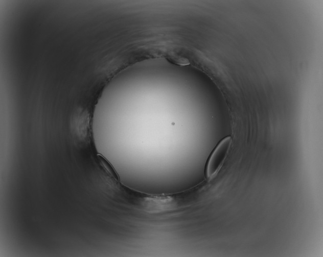 X0000089830480200706281215