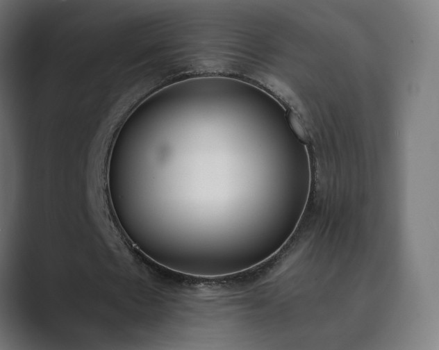 X0000089830481200706281214
