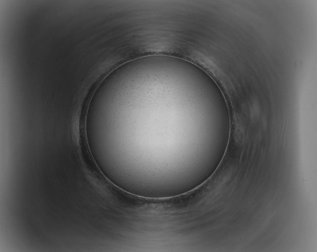 X0000089830482200706281214