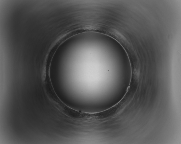 X0000089830484200706281214