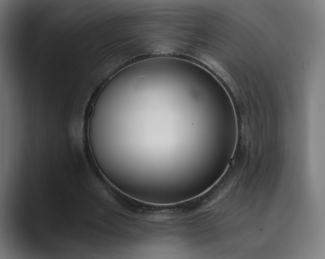X0000089830485200706281214