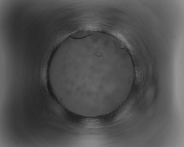 X0000089830487200706281214