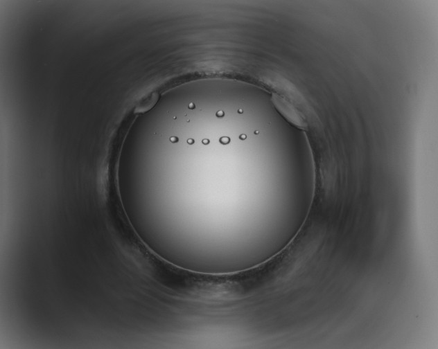 X0000089830488200706281214