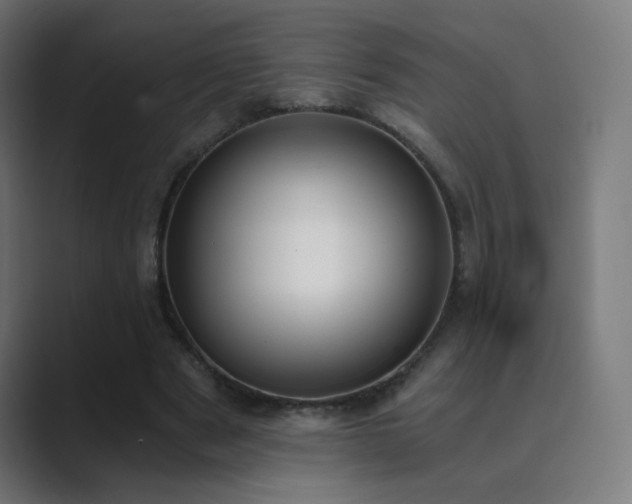 X0000089830489200706281214