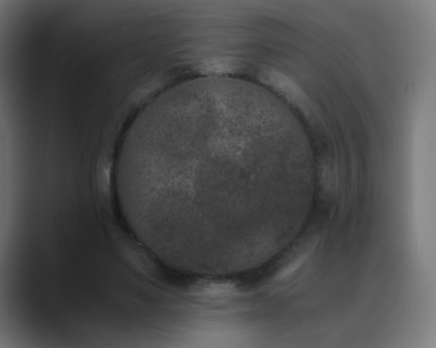X0000089830491200706281214