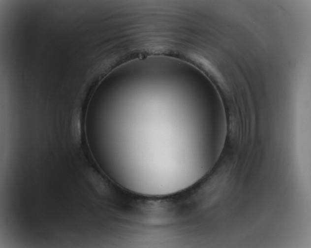 X0000089830493200706281214
