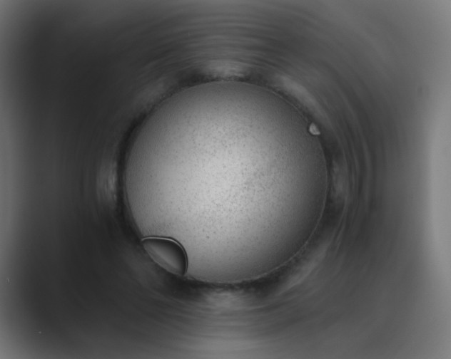 X0000089830494200706281214