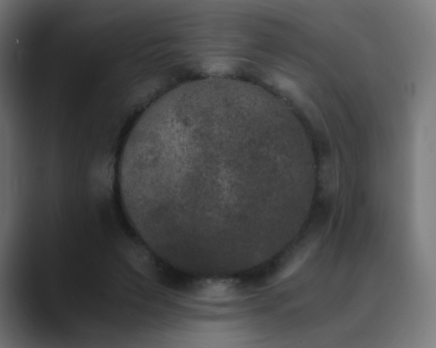X0000089830495200706281214