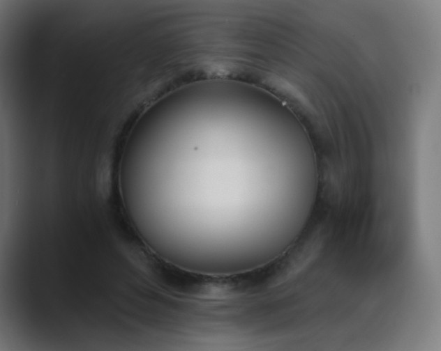 X0000089830496200706281214
