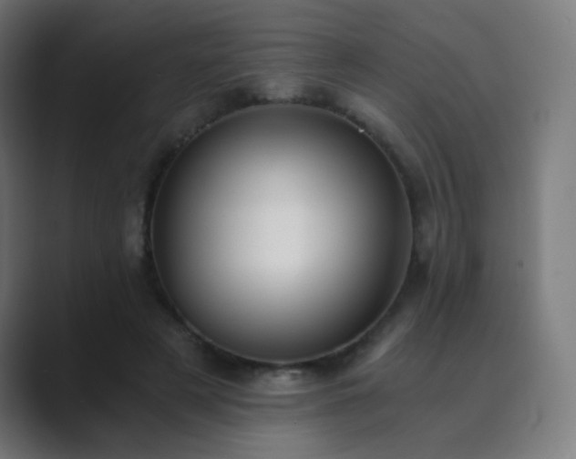 X0000089830497200706281214