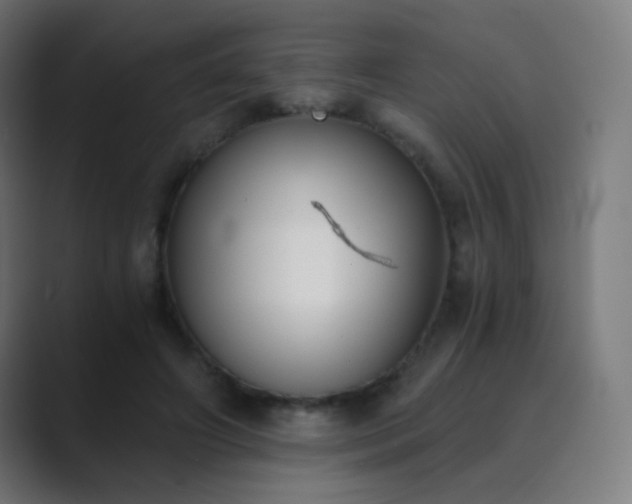 X0000089830498200706281214
