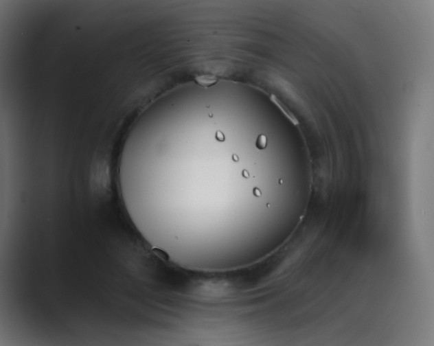X0000089830500200706281214