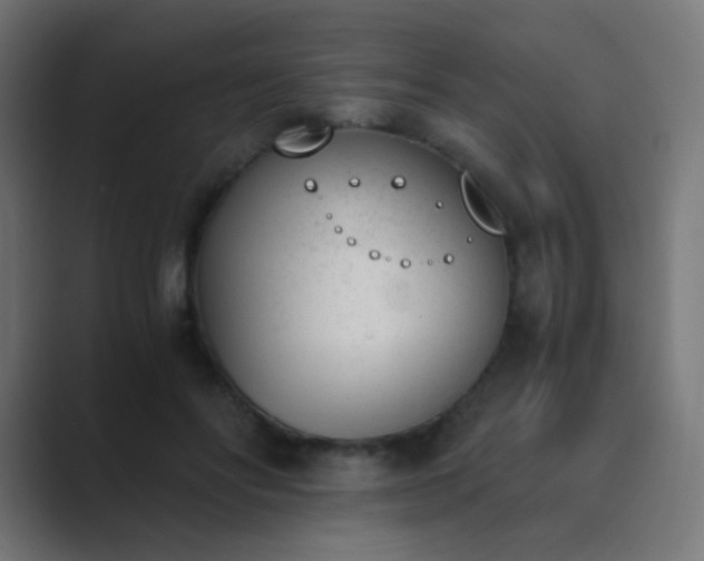 X0000089830502200706281214