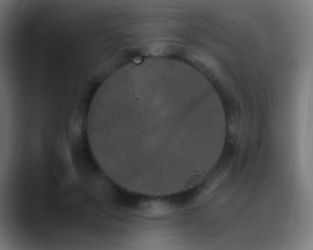 X0000089830503200706281214