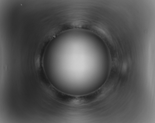 X0000089830504200706281214