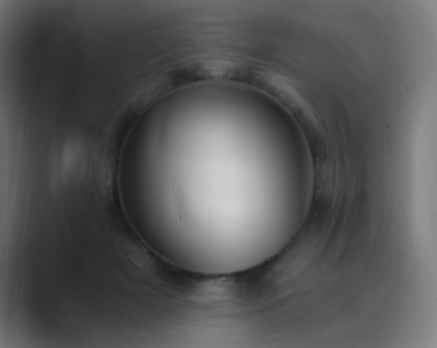 X0000089830505200706281214