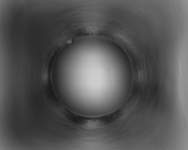 X0000089830508200706281214