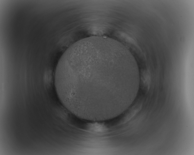 X0000089830511200706281214