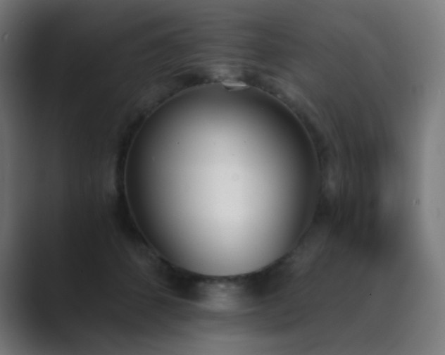 X0000089830512200706281214