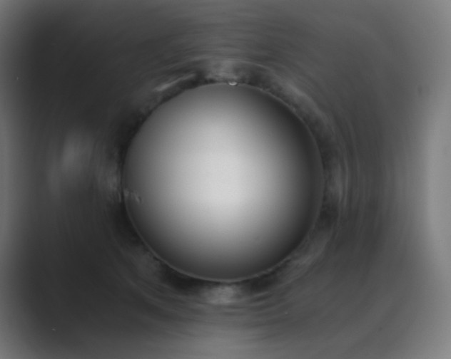 X0000089830513200706281214