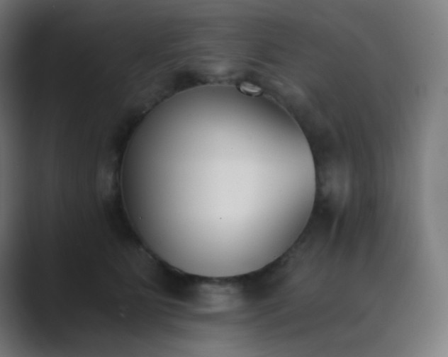 X0000089830515200706281214