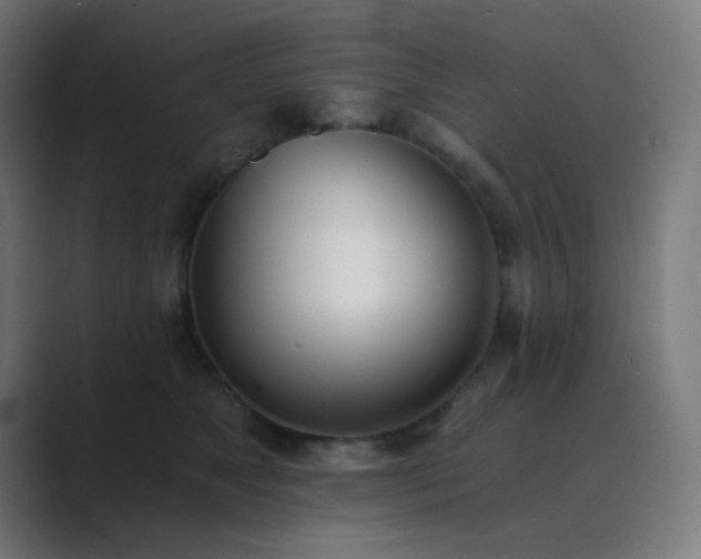 X0000089830517200706281214