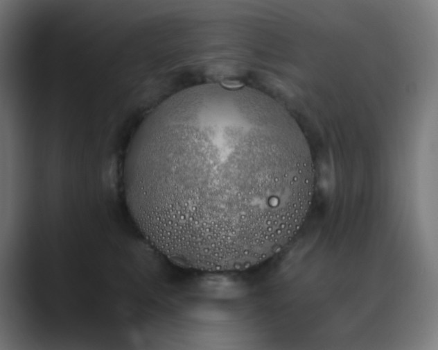 X0000089830519200706281214