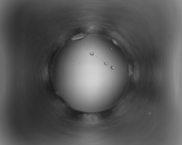 X0000089830520200706281214