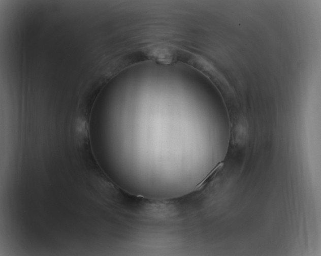 X0000089830521200706281214