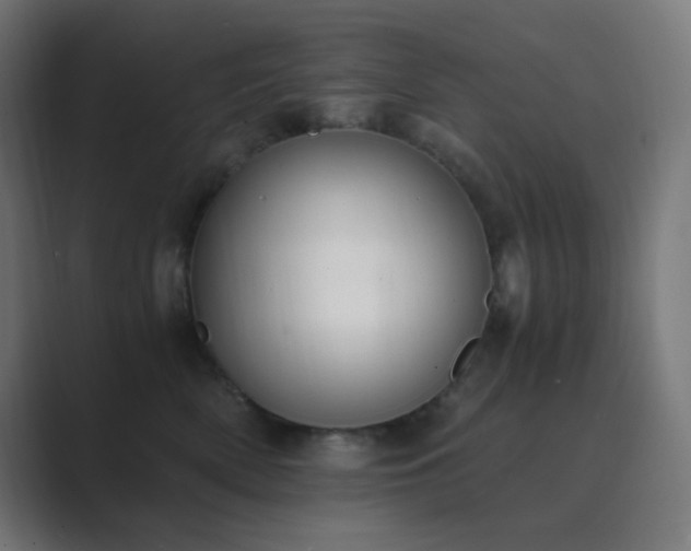 X0000089830522200706281214