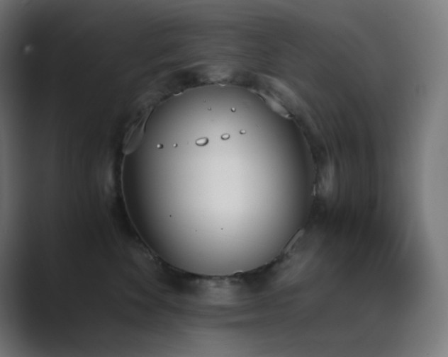 X0000089830524200706281214