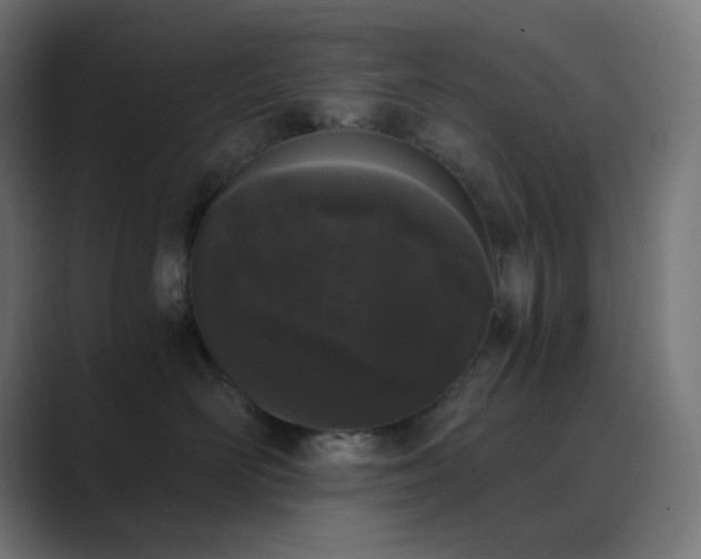 X0000089830526200706281214