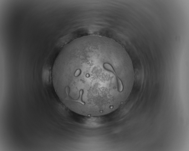 X0000089830527200706281214