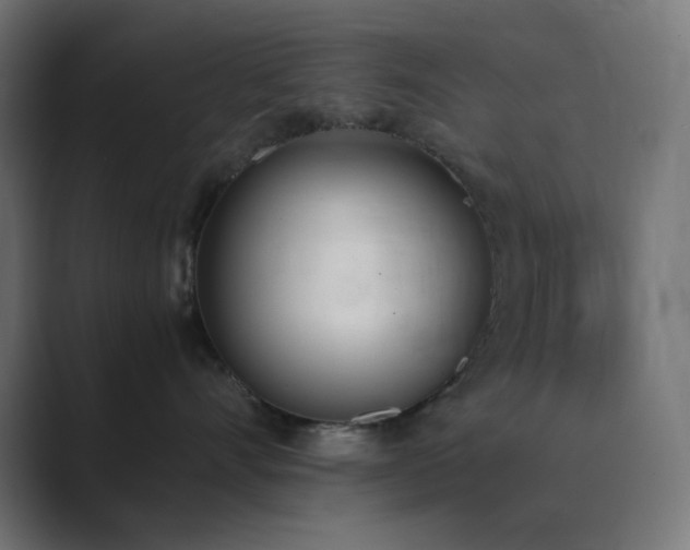 X0000089830528200706281214