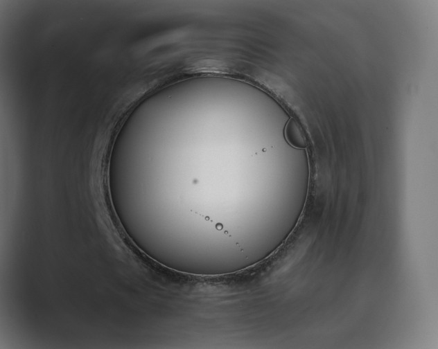 X0000089830529200706281213