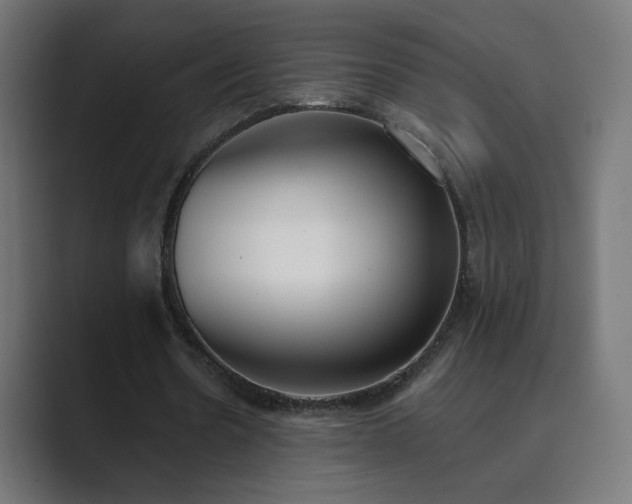 X0000089830530200706281213