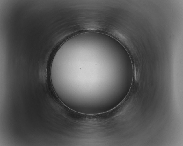 X0000089830531200706281213