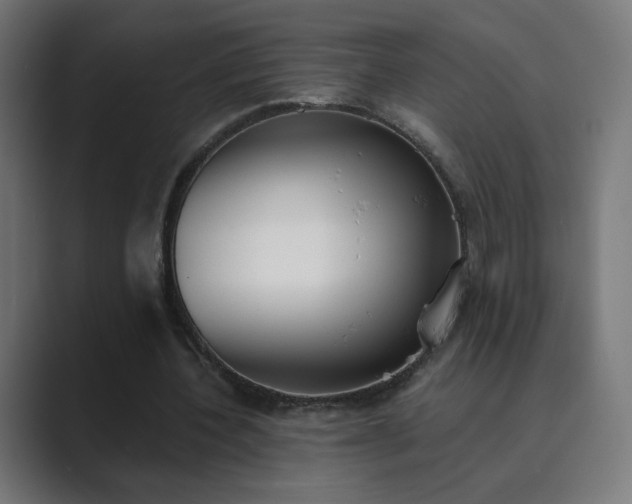X0000089830532200706281213