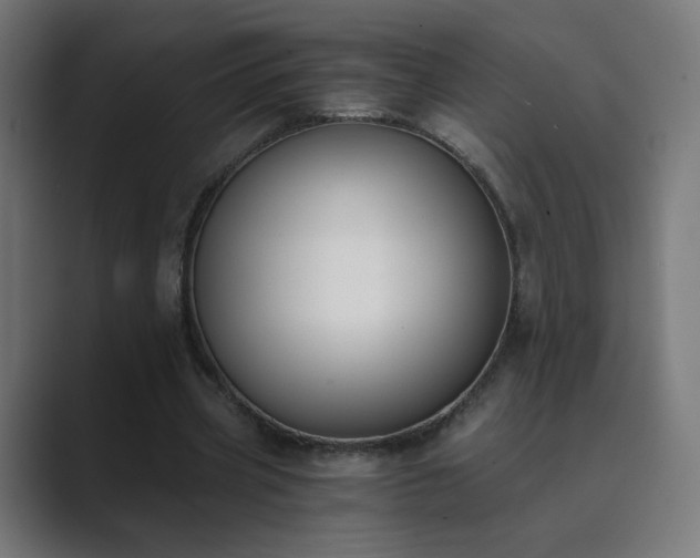 X0000089830533200706281213