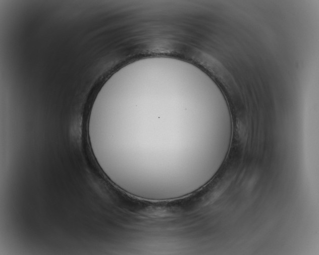 X0000089830534200706281213