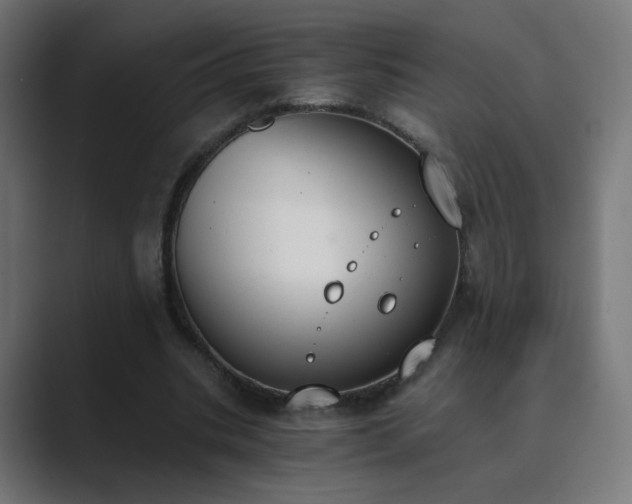 X0000089830535200706281213