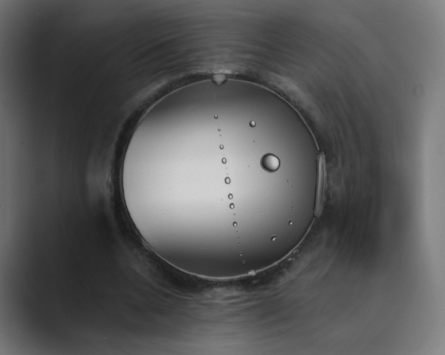 X0000089830536200706281213