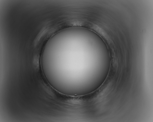 X0000089830537200706281213