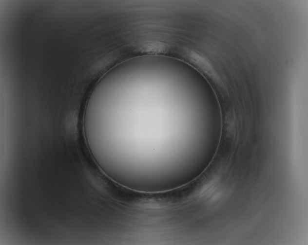 X0000089830538200706281213