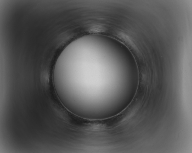 X0000089830539200706281213