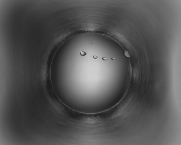 X0000089830540200706281213